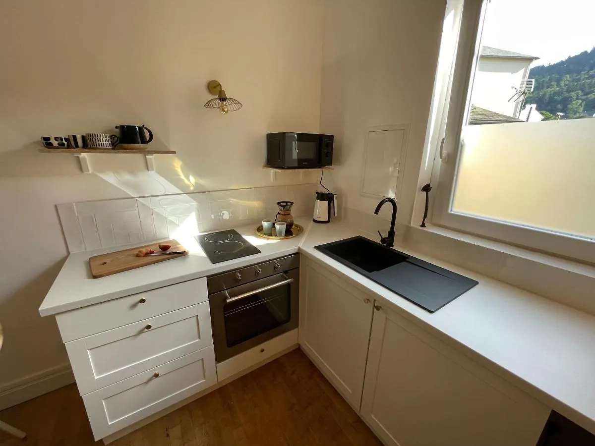 Appartement Magnifique studio design tout équipé Le Mont-Dore
